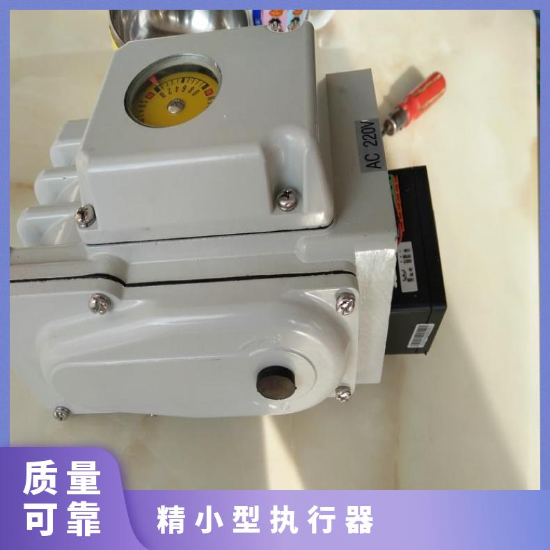 户外开关型电动执行器 DQW10-1角行程执行机构