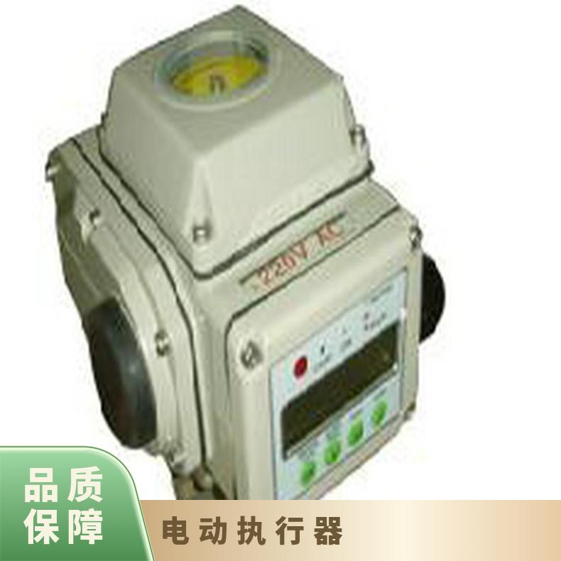 200Nm精小型执行器普通型电动机构AC220V电压BR-20