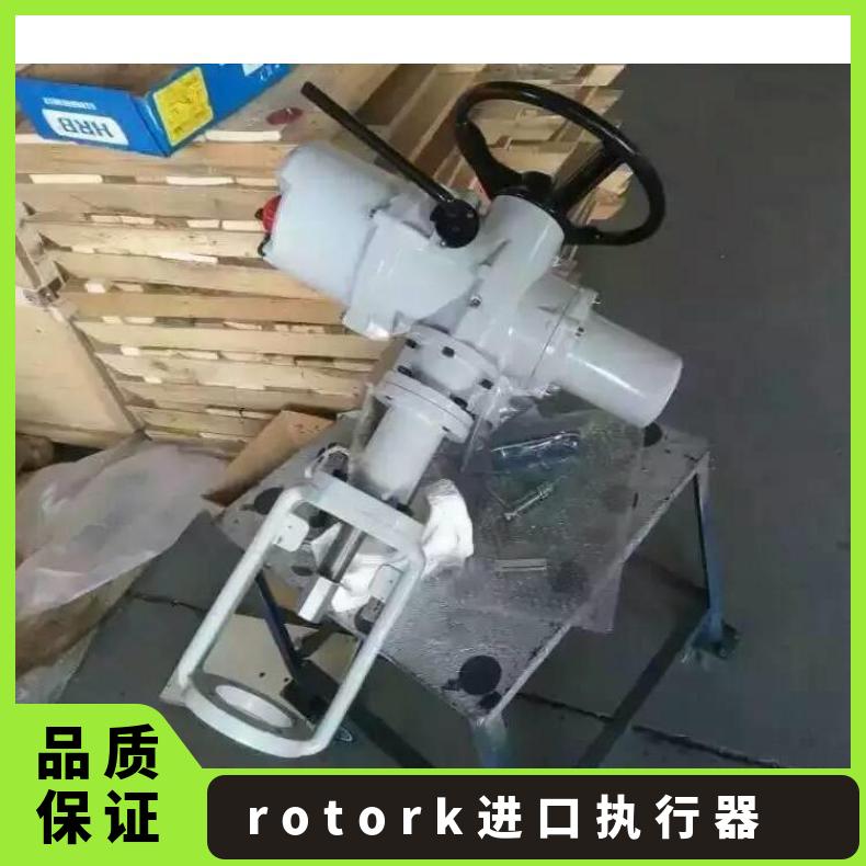ROTORK罗托克IQC30电动执行器 100-1000 其他博尔 ZB/QBDZBDQB