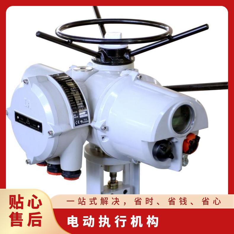 IM10 12电动执行器 18 20执行机构 法兰 其他博尔 ZB/QBDZBDQB