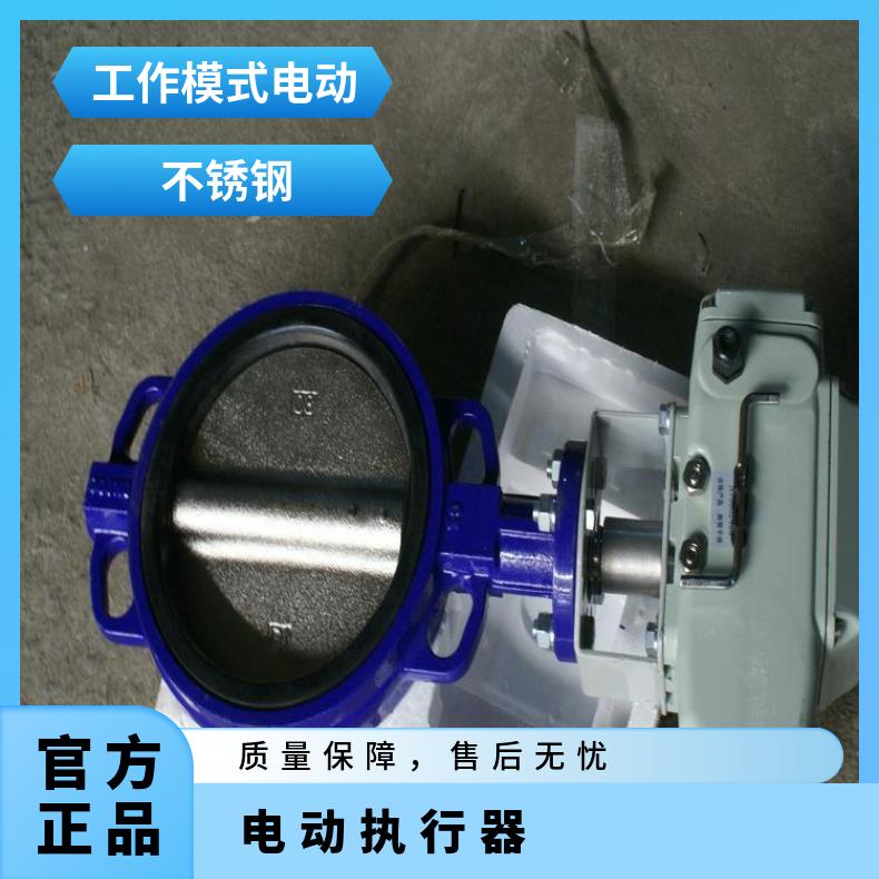 电动螺纹球阀执行器 Q911F装置 5kg~500kg DZW/ZWZB 其他博尔