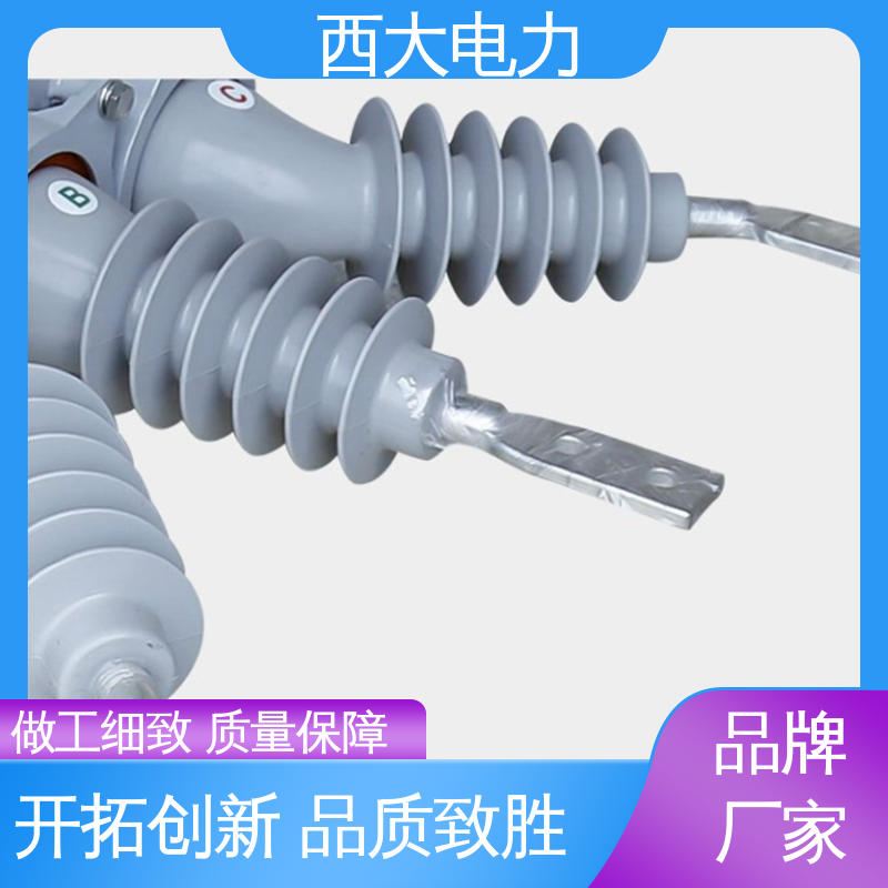  轻巧耐用 安装灵活 ZW20-12F 户外柱上真空断路器 西大电力