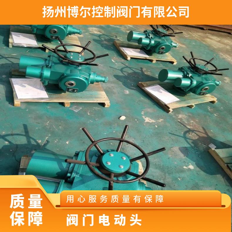 电动阀门执行器 智能型开关量输出DZW60-24T结构