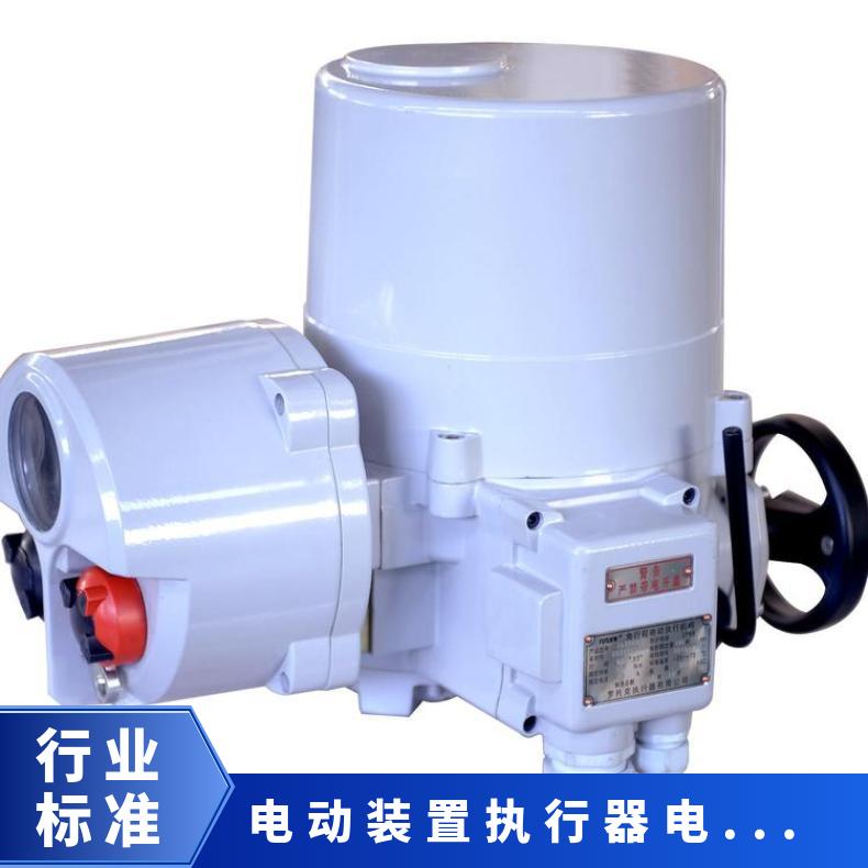 罗托克角行程执行器IQT1000 1500 2000 2500