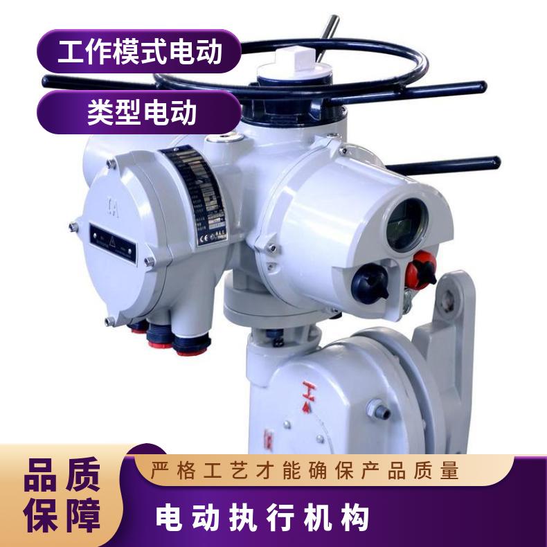 罗托克执行器IQ IQT IQM IQTM IQC地操作红黑旋钮