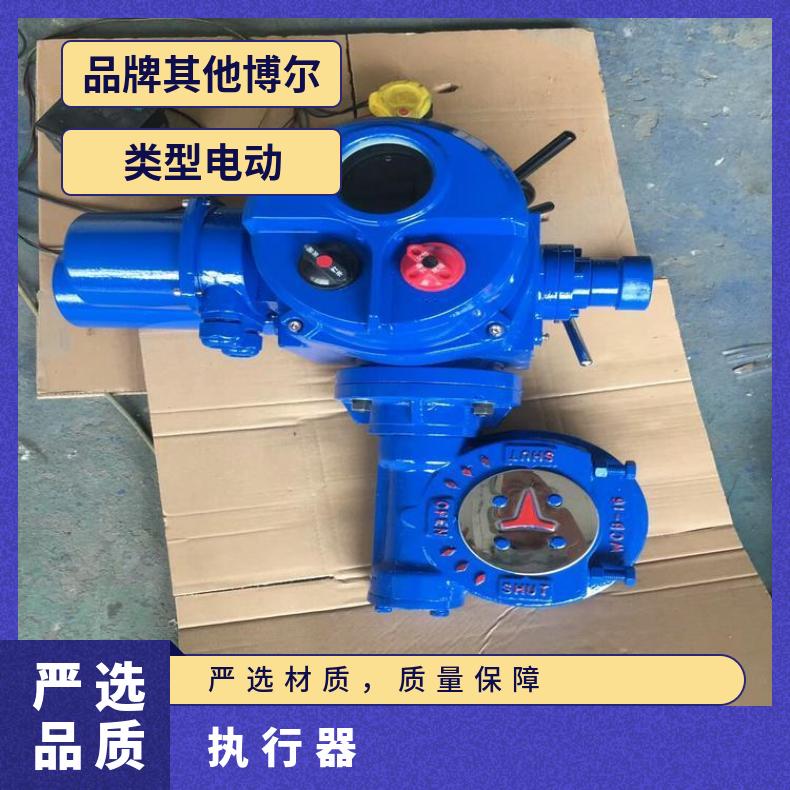 ROTORK罗托克防爆电动执行器 100-1000 其他博尔 ZB/QBDZBDQB