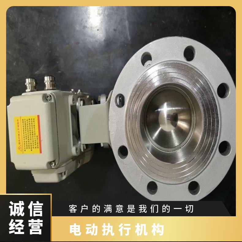 ac380v户外型精小型电动执行器2000nm 法兰 其他博尔 DZW/ZWZB