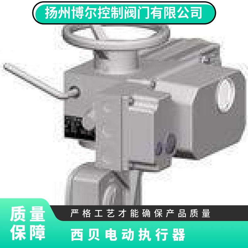 SCHIEBEL西贝执行机构AB5Am20 8 5E80+IB4