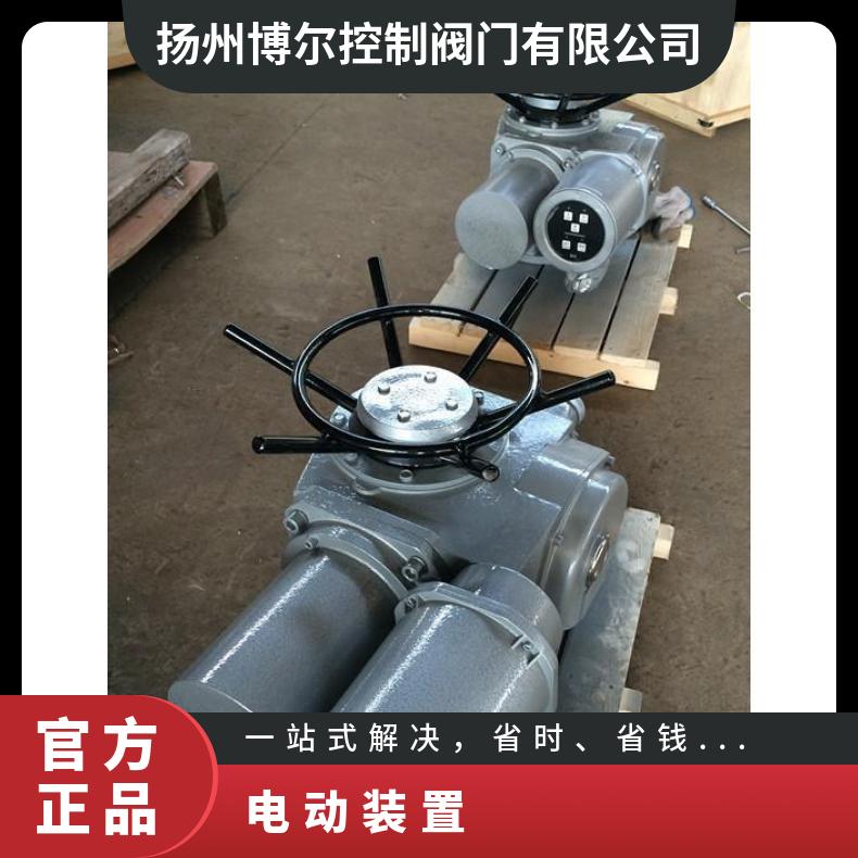 电动装置DZW90-24RZ 120-RB执行器 2SQ30DKJ/ZKJ 其他博尔 法兰
