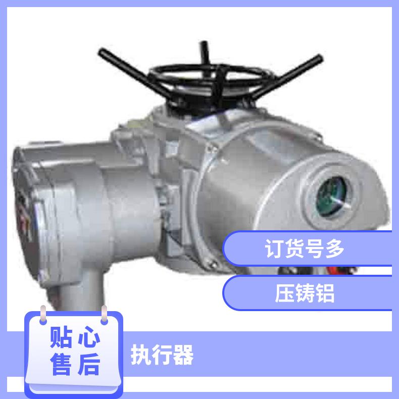 扬修2SA8执行器/EXC.28531+DJW11定做尺寸 水 博尔 压铸铝 否 HZ4