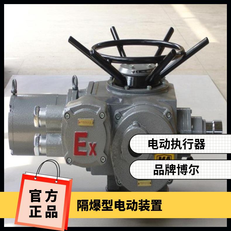 疏水阀非侵电动执行器2SB8512-9A00-C 否 博尔 HZ45