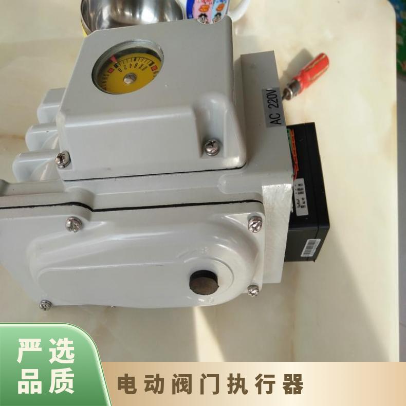 市执行器 电动阀门 生产 加工 博尔电装 型号SKD32.50 不限