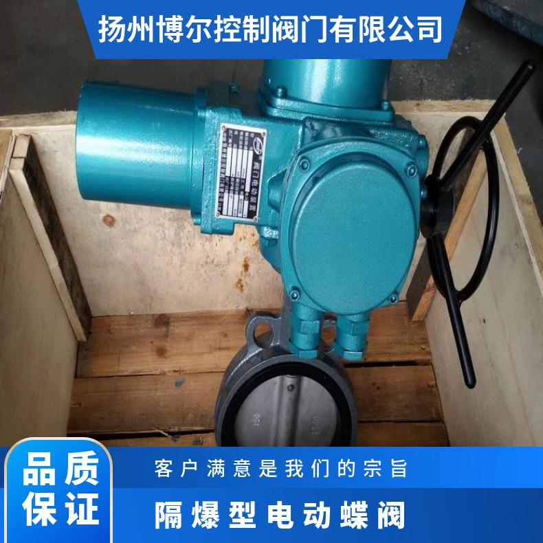 矿用隔爆型电动蝶阀D9B41X-10C法兰 其他博尔 ZB/QBDZBDQB 齐全