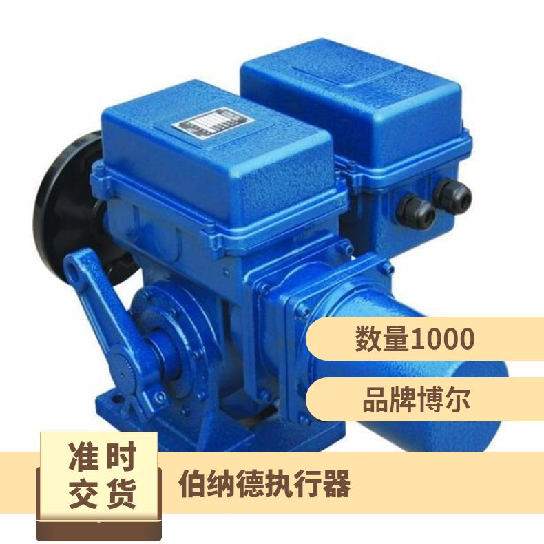 BS-60/F30HT /FHG 伯纳德执行器 电动器检修