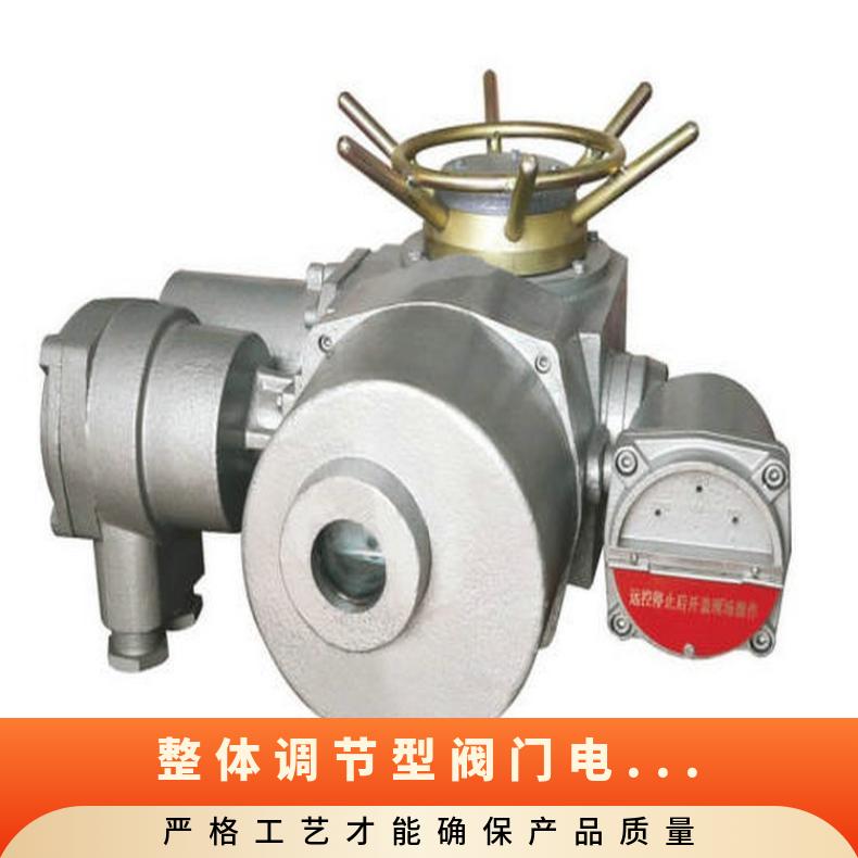 新疆多转式调节型:IQM10 20 电动装置25 12 18