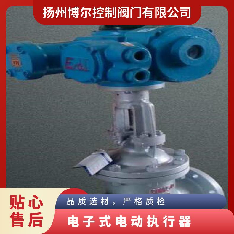 电动执行器DCL-40E电子式 其他博尔 ZB/QBDZBDQB -20℃~60