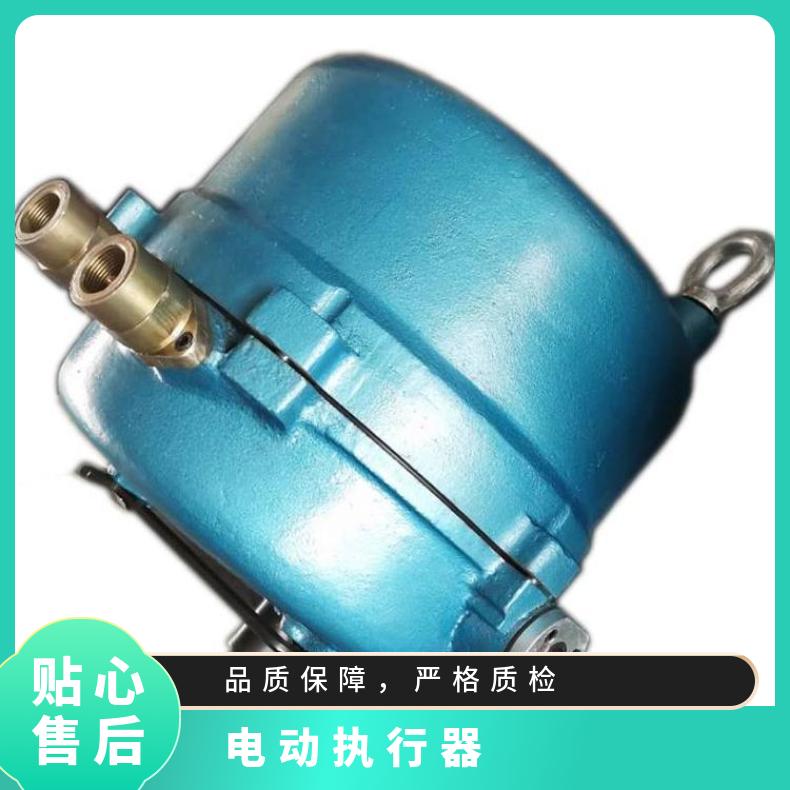 361RXC-80 100电子式执行器 蝶黔 法兰 水 常压 碳钢 ZDLP-16KDN6