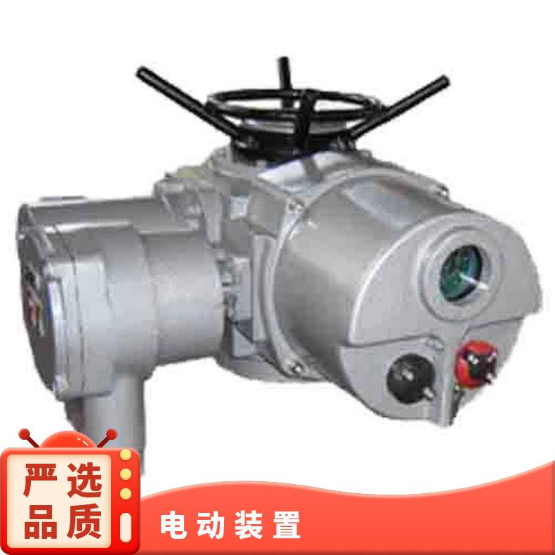 DZW20-18W/ZT电动装置24 //T 15 蝶黔 10kg~500kg 法兰 380