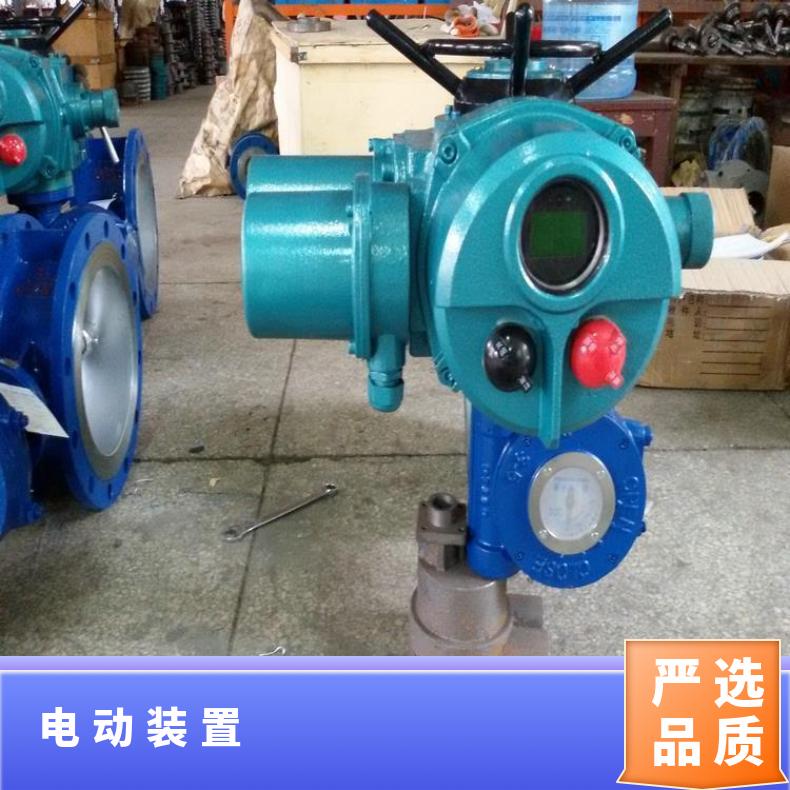 SHQ系列部分回转轴流式水轮机手调速 电动执行器 上海蝶黔