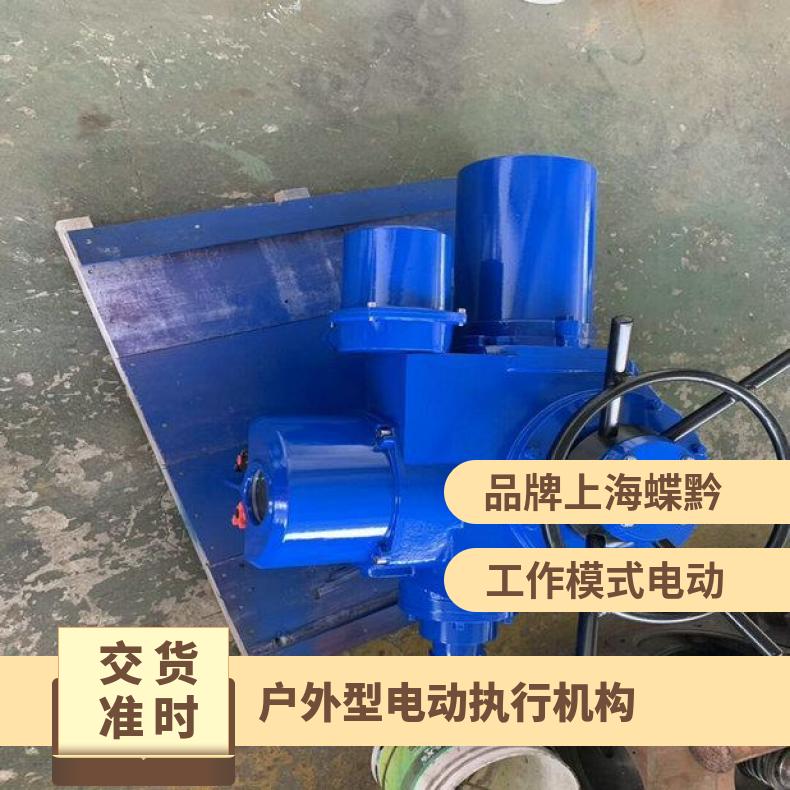 户外型阀门电动执行机构 DZW15-24-A00-DSI 60-
