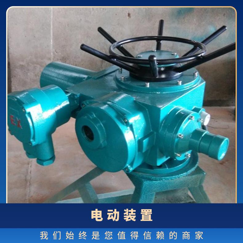阀门装置 DZW10S 30I 300 电站 是 蝶黔 法兰 电动执行器 380