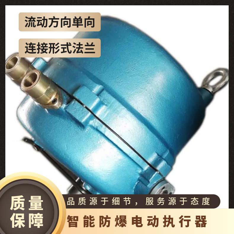 371RXC-30_50智能防爆电动执行器 ZDLP-16KDN65 电子 水 蝶黔 碳