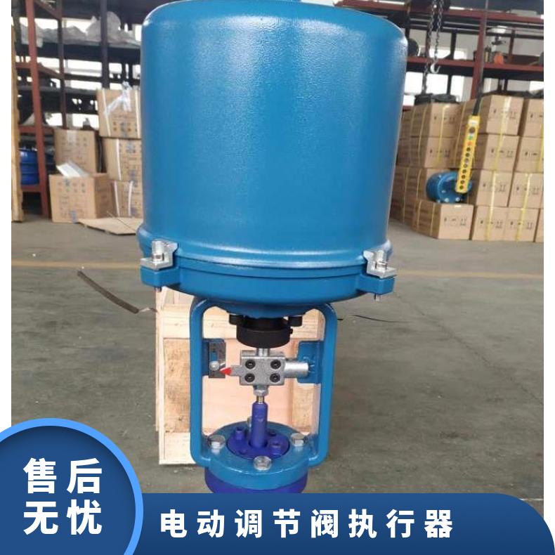蝶黔ZRSP/ZRSM-16c -40c 电动单座套筒调节阀