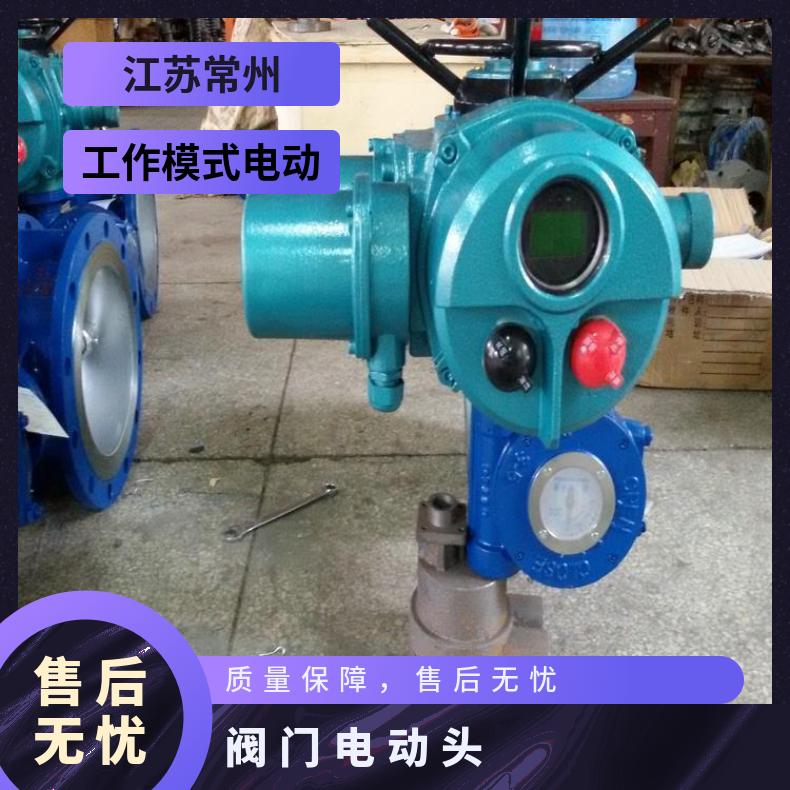 DZW15-24W/Z/T 多回转电动装置 阀门执行机构 头