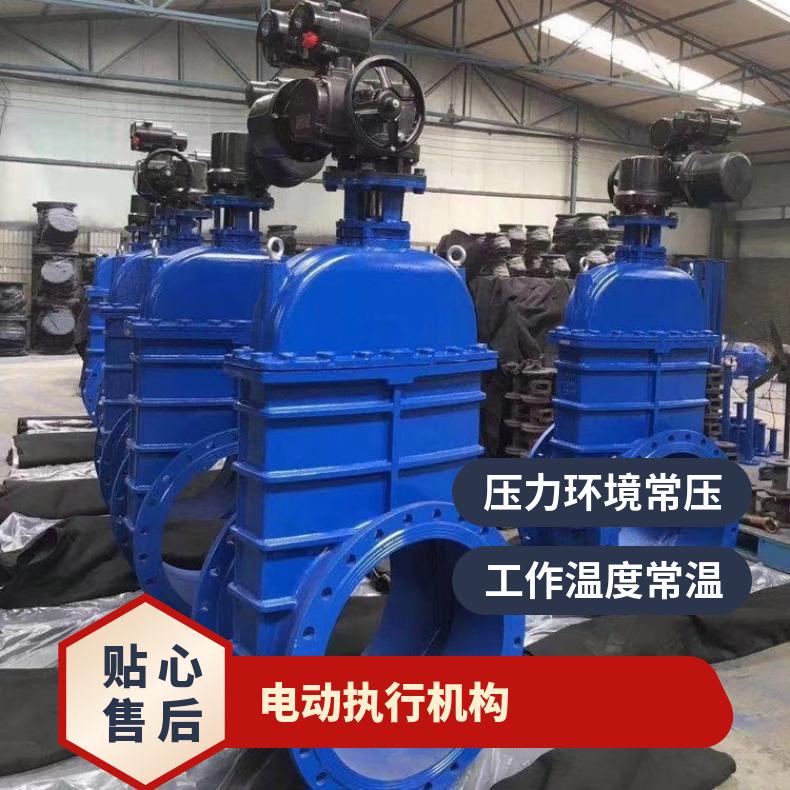 Z941H-C-300/电动法兰式闸阀 ZDLP-16KDN65 蝶黔 碳钢 常压 电子