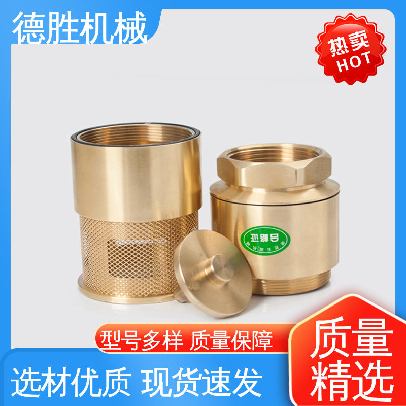 油罐双门止回阀 材质优选 发货迅速 防止管路液体回流 铜过滤网 德胜