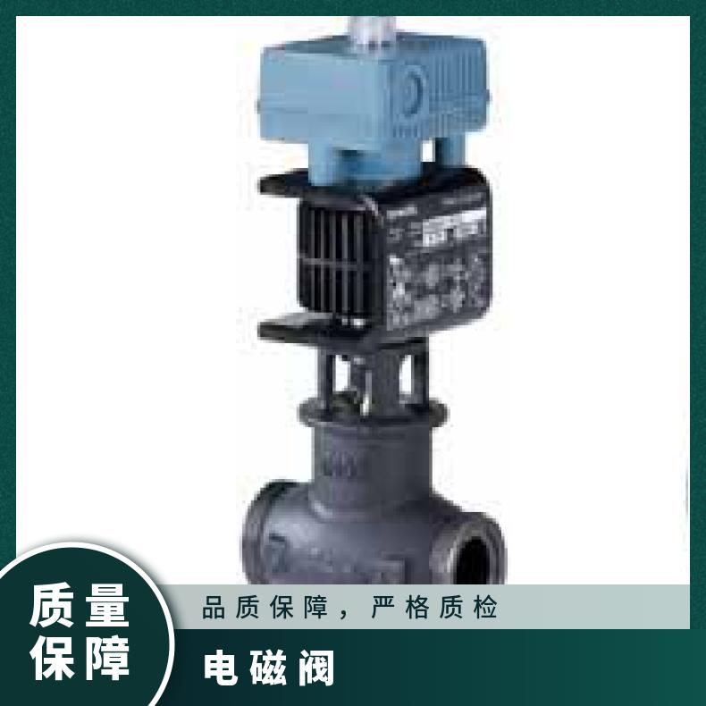 西门子电磁阀MXG461.50-30 额定电压AC/DC24V 铁铜 CE认证 数量1