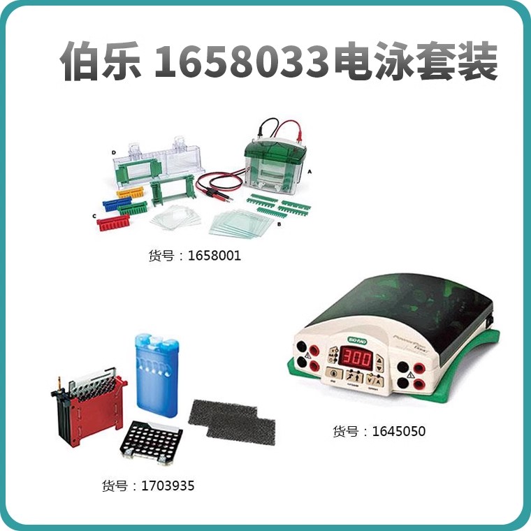 BioRad伯乐实验室小型垂直电泳三件套套装1658033 现货出售