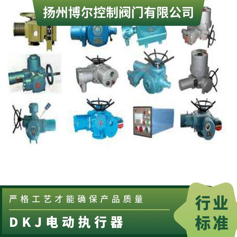 广西BOER电动执行器 DKJ/DKZ器LQ/QT/802型器