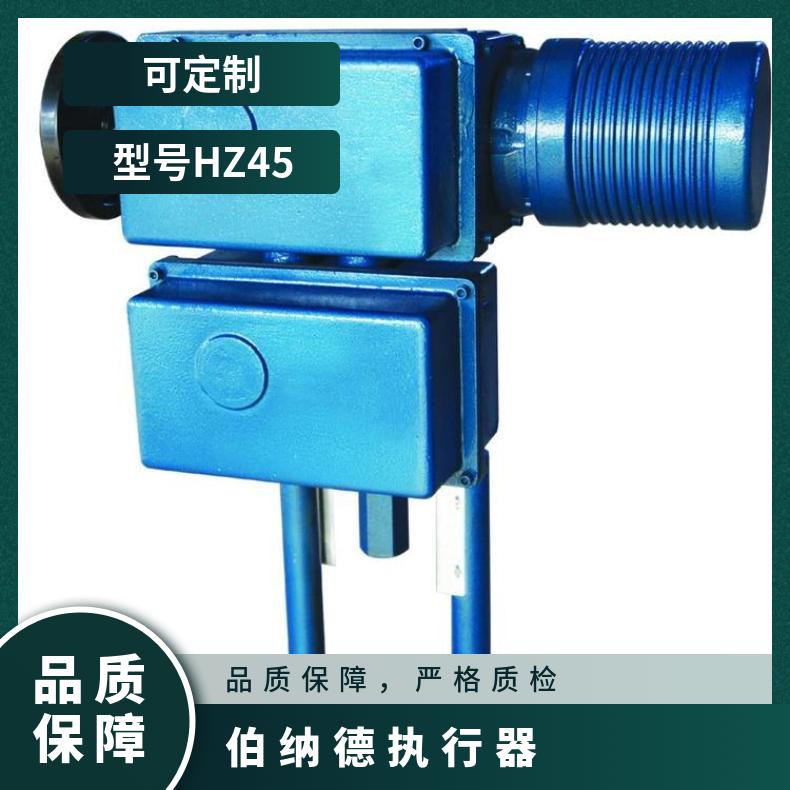 伯纳德 BS-60/K/F30H /K/FHGP 非侵入式电动执行机构