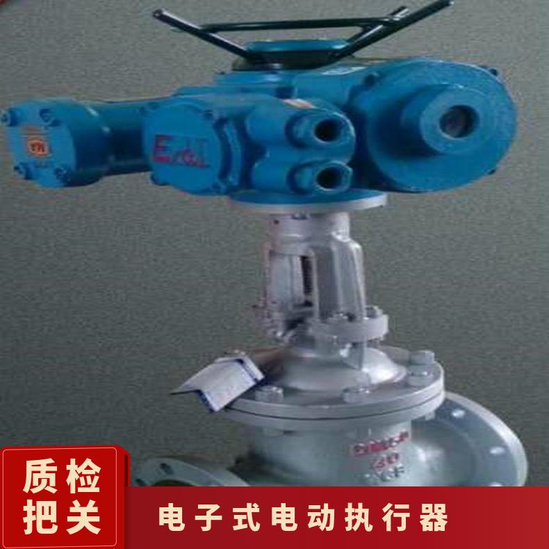 广西电动执行器DCL-60E电子式 法兰 ZB/QBDZBDQB 其他博尔
