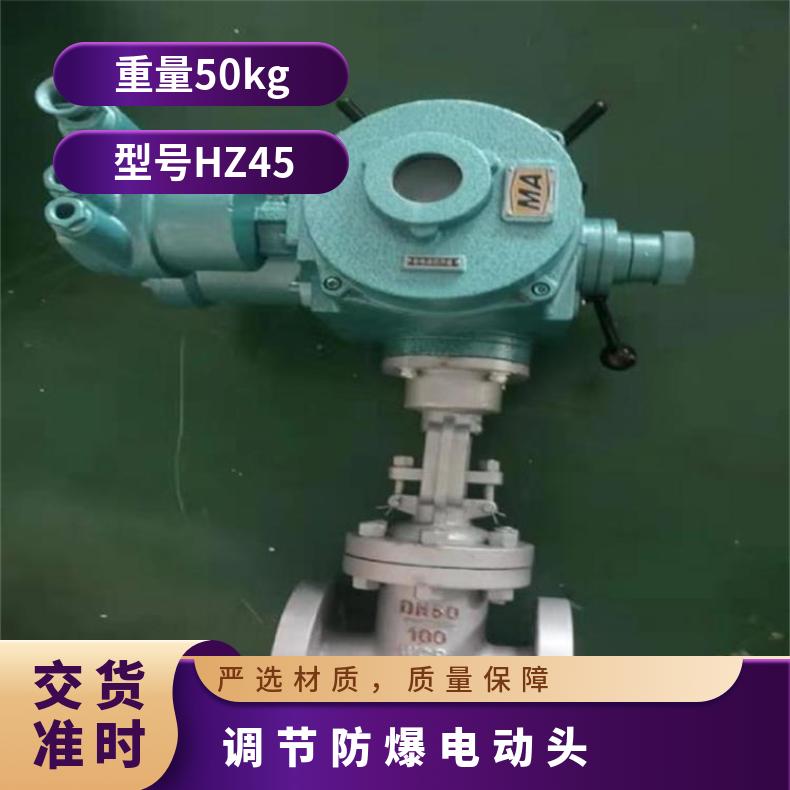 阀门电动头DZW120-WT调节型控制 否 博尔 水 HZ45