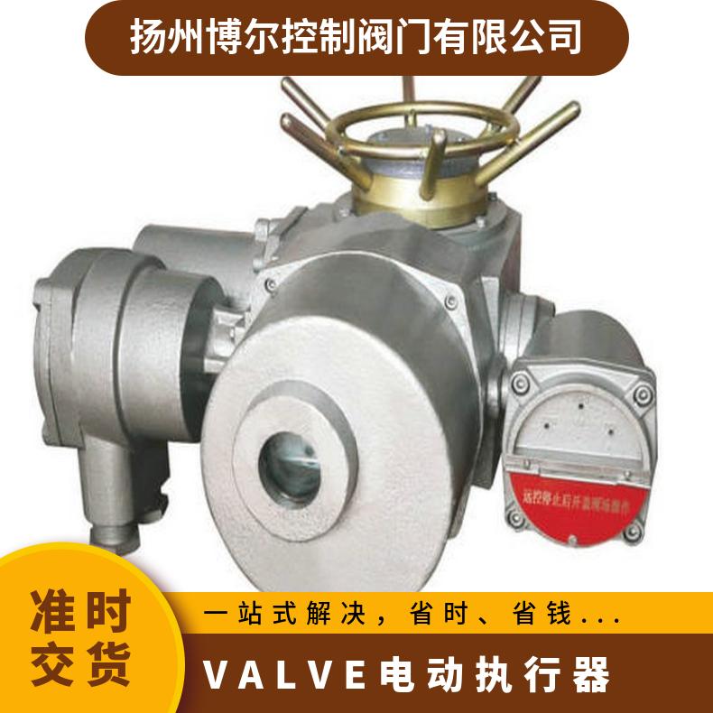 DZW250-24-A00-WK系列电动执行器 其他博尔 ZB/QBDZBDQB 法兰