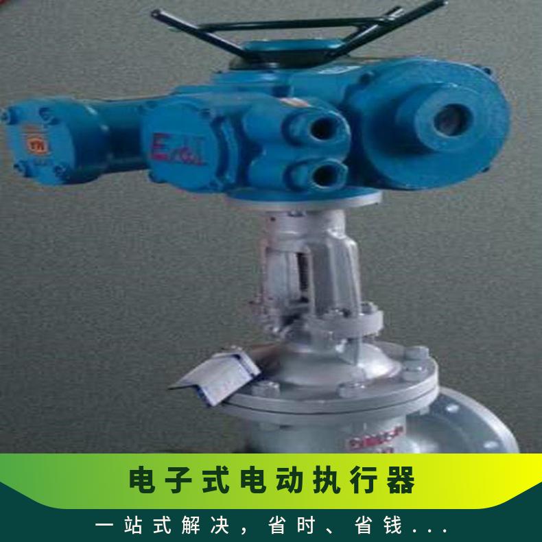 电动执行器DCL-40E电子式 其他博尔 ZB/QBDZBDQB -20℃~60