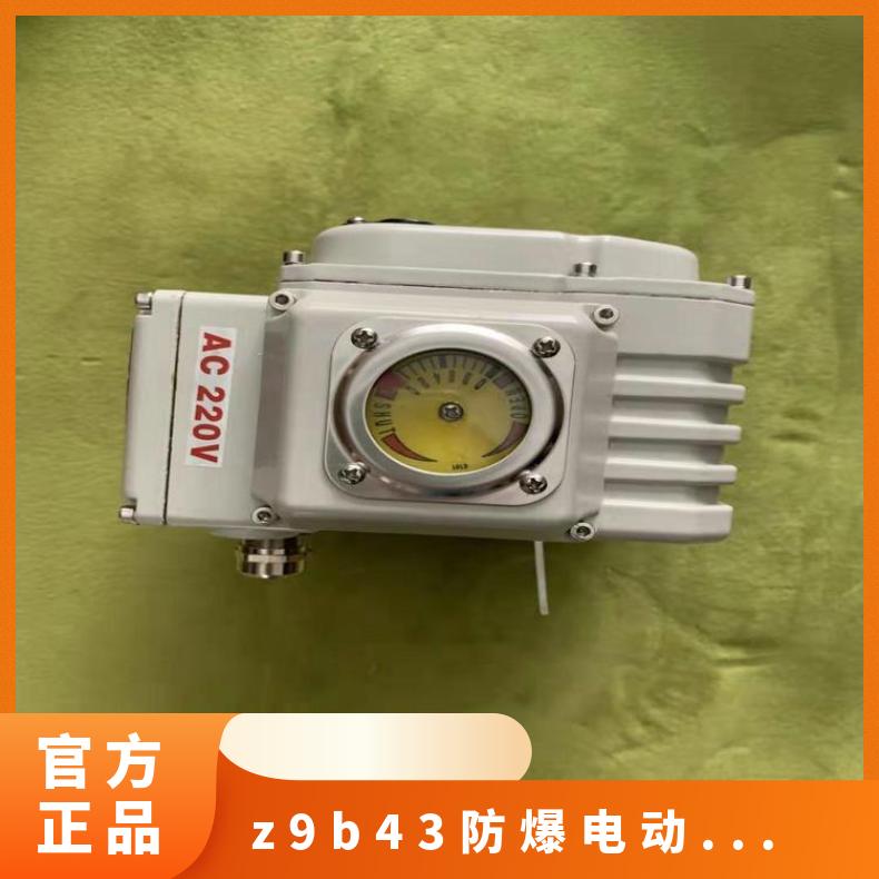 ZB524B/Z 1518 电动装置 其他博尔 法兰 -20℃~60