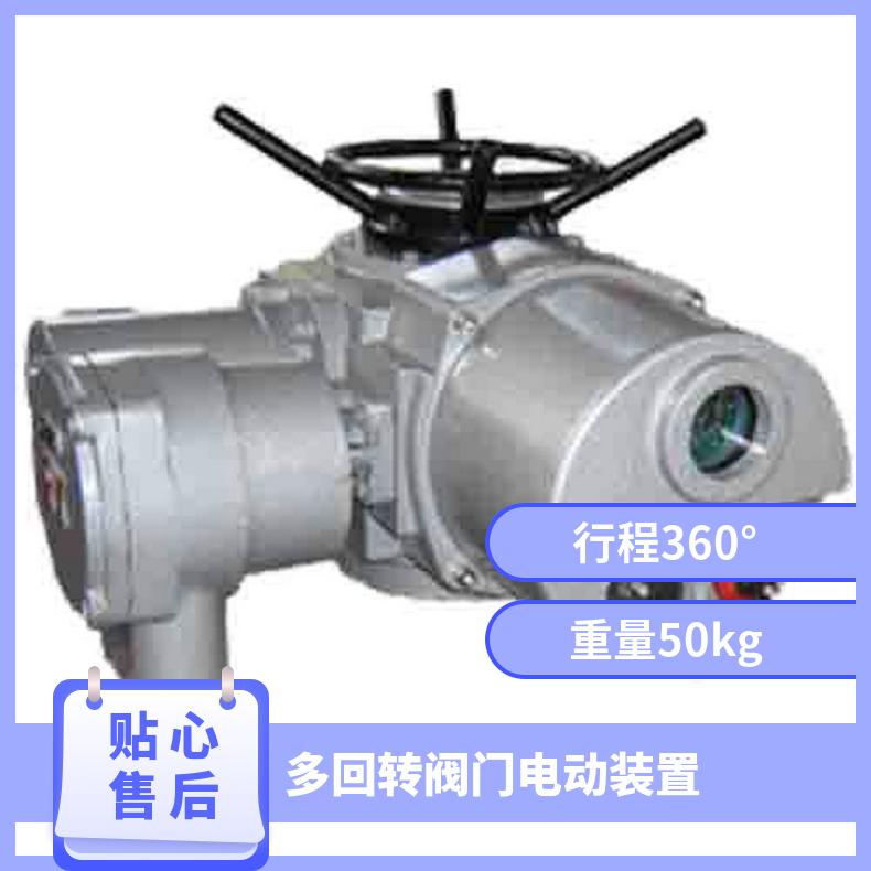 DZW10 60 180电动执行机构 200mm 博尔电装 是