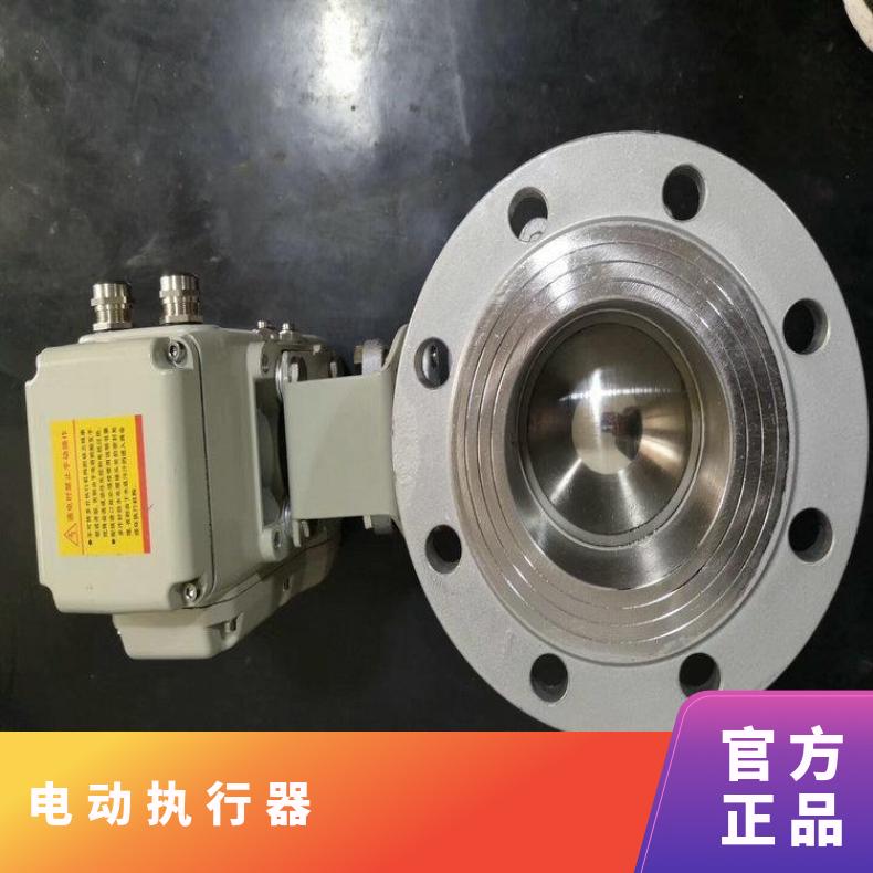 软密封电动蝶阀精小型执行器 BR-100P调节型精器