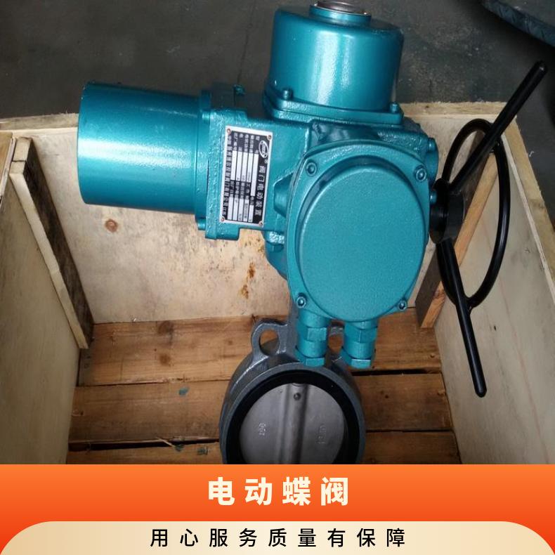 市矿用隔爆型电动蝶阀D9B41X-10C法兰 ZB/QBDZBDQB 其他博尔