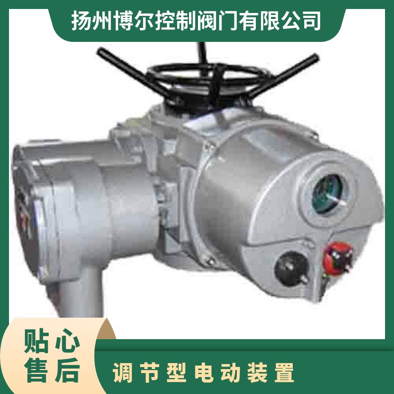 FZ液晶电动头 非嵌入式装置SA DZW120-18W/z 是 50kg 博尔电装