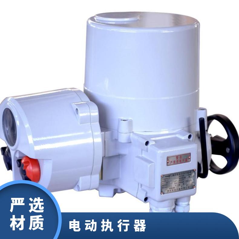 IQ20罗托克智能一体化电动执行器电厂钢厂专用加工定制