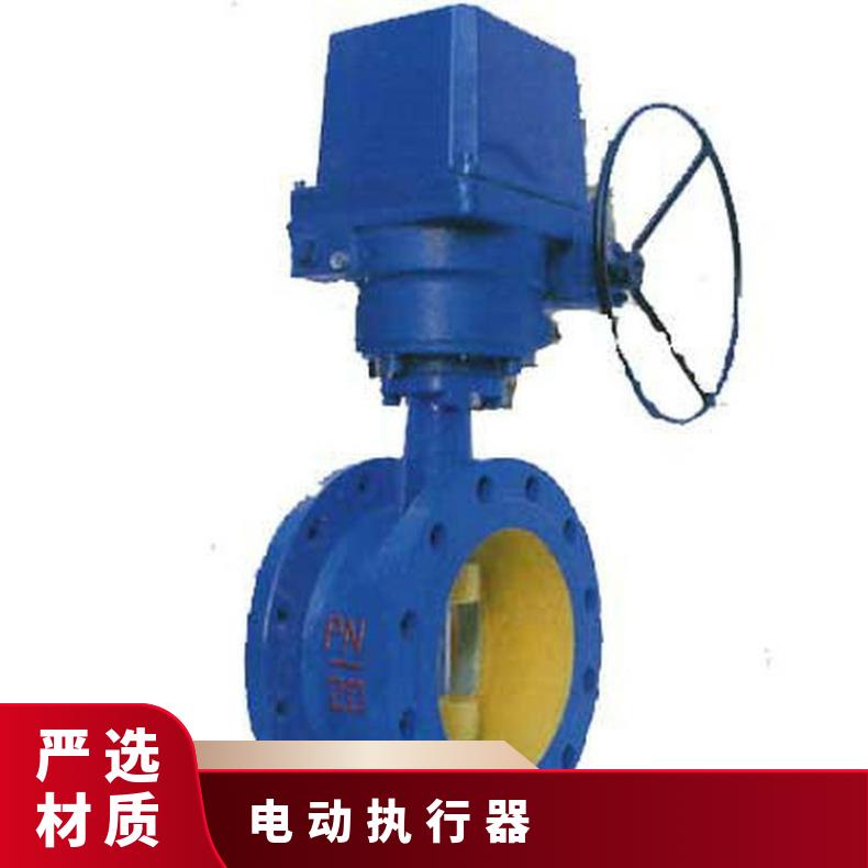 LQ电动执行器 10-1 20阀门 装置厂 其他博尔 ZB/QBDZBDQB