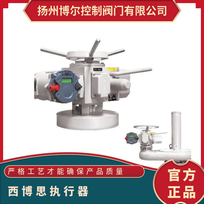 西贝电动执行器AB8E40CSC+IW6R-210 DZW/ZWZB 其他博尔 5kg~500kg