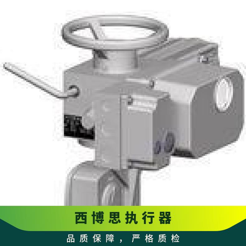 西贝电动执行器rAB5E40+IW4120S -20℃~60 其他博尔 DZW/ZWZB