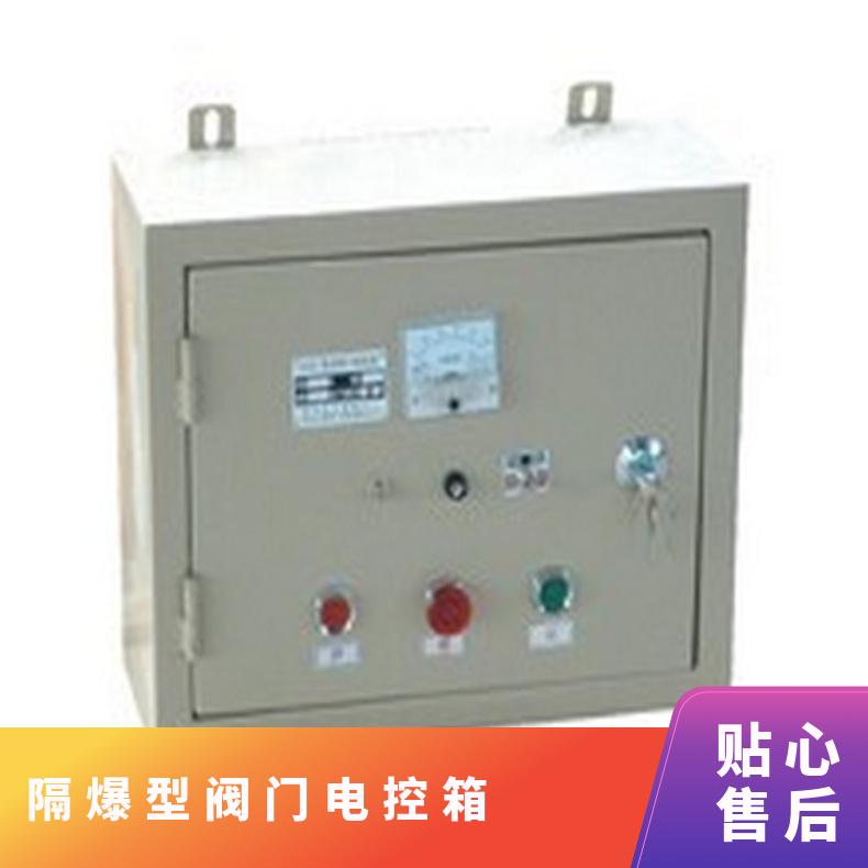 供应阀门电控箱 隔爆型箱 挂壁式箱 抽屉式箱