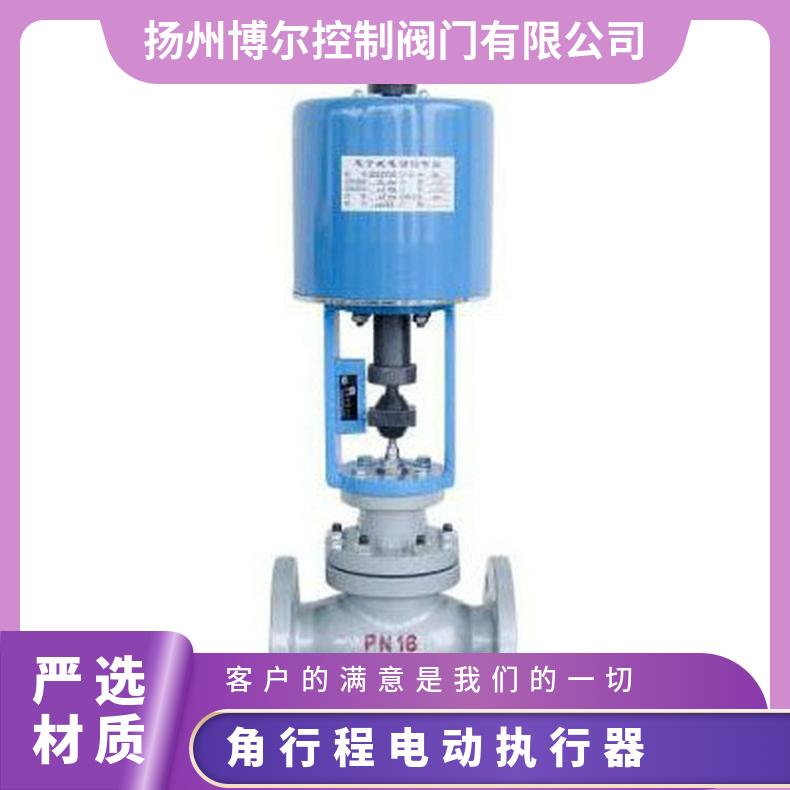 供应DKZ-5100、510CX直行程电动执行器 是 博尔电装 50kg