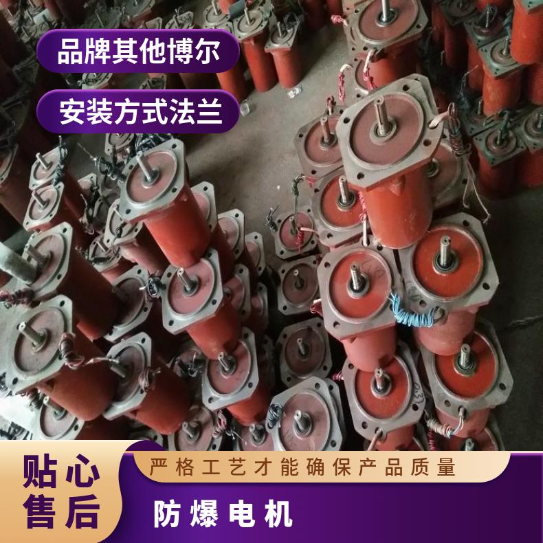 紫铜线YBDF-311-41.1kw三相防爆电机 其他博尔 ZB/QBDZBDQB